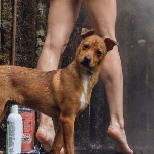 Основы позирования