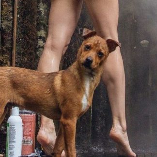 Основы позирования