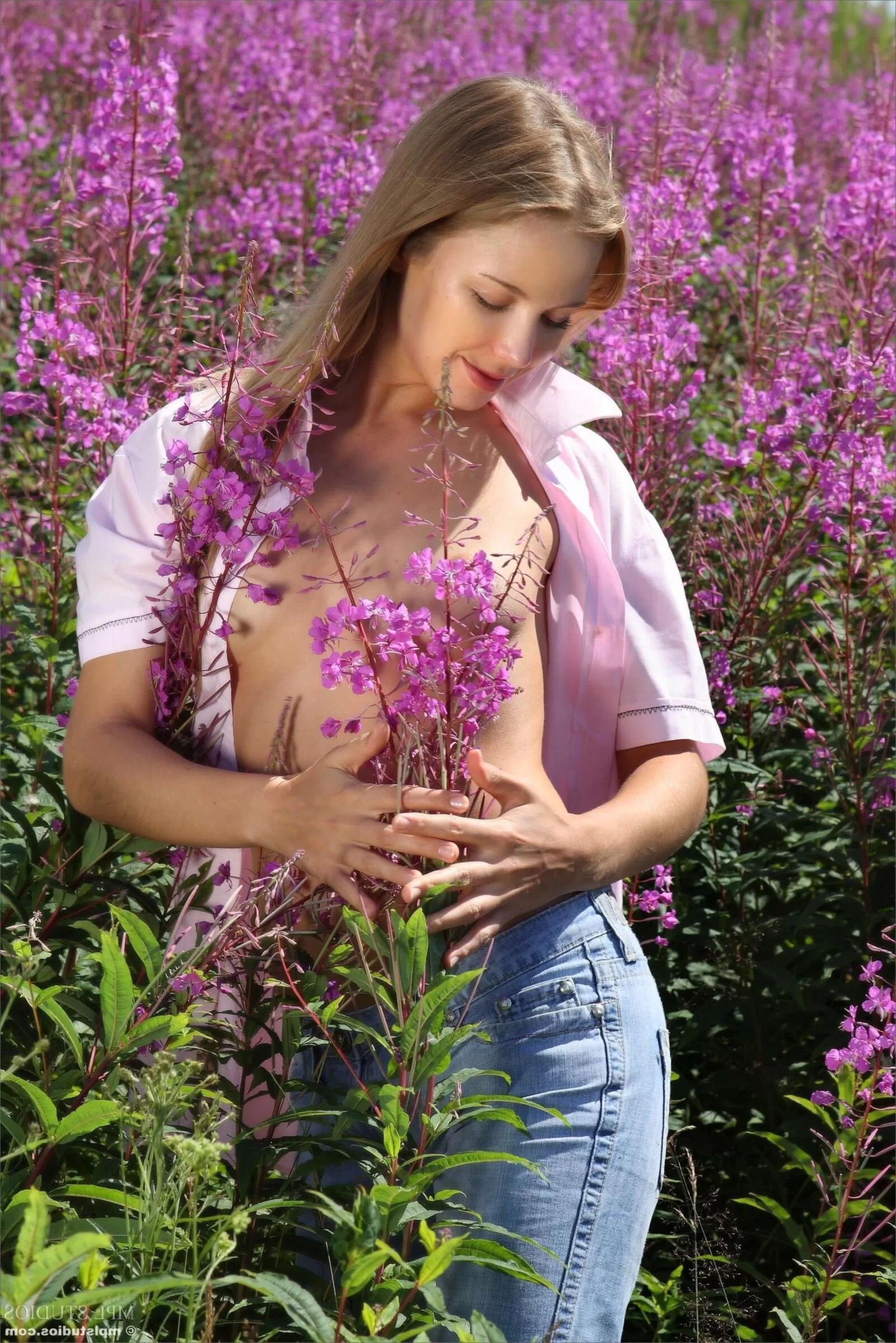 Artisa Splash of Color ( )