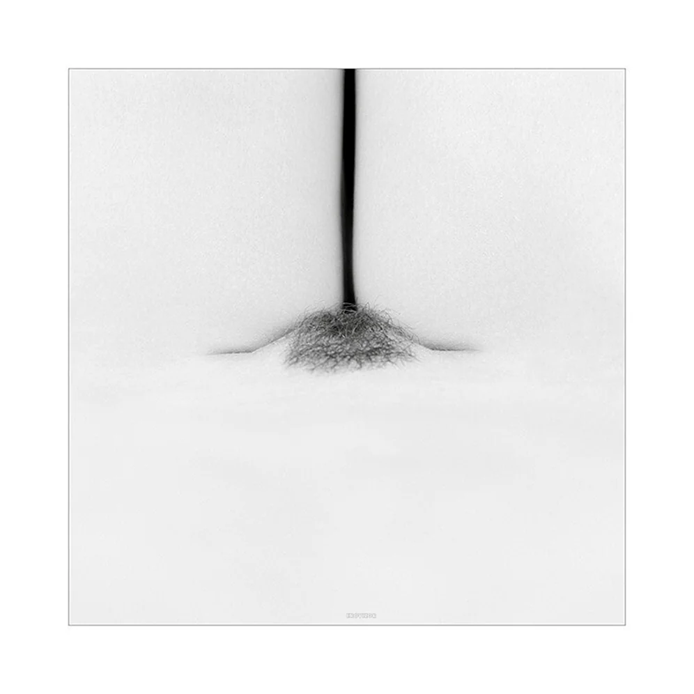 женский волосатый лобок с оптической иллюзией